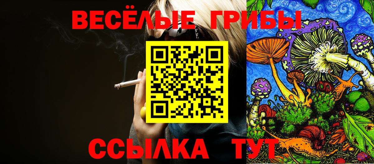 Галлюциногенные грибы Magic Shrooms Приморско-Ахтарск