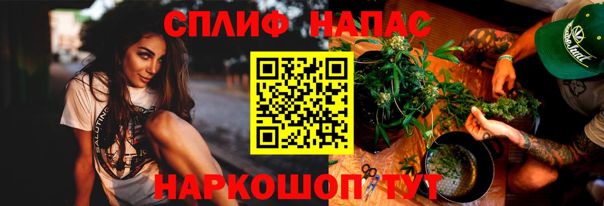 МАРИХУАНА план Приморско-Ахтарск